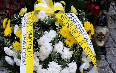 P4422653