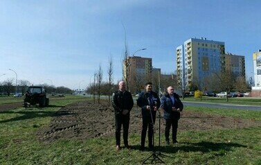  Zielona rewolucja w centrum Stalowej Woli (na zdjęciu znajdują się trzy osoby)