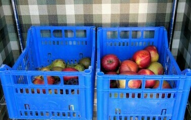 Uruchomienie "Jadłodzielni" (na zdjęciu znajdują się jabłka)