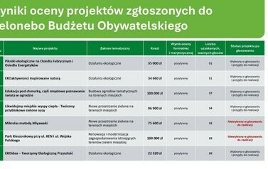 Prezentacja - wyniki1 (1)_page-0012