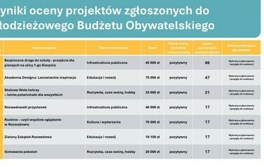 Prezentacja - wyniki1 (1)_page-0008