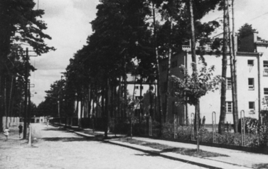 O mieście (na zdjęciu znajduje się ujęcie fotograficzne miasta Stalowe Woli sprzed lat)