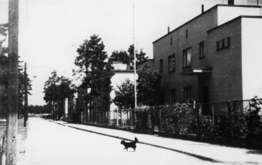 O mieście (na zdjęciu znajduje się ujęcie fotograficzne miasta Stalowe Woli sprzed lat)
