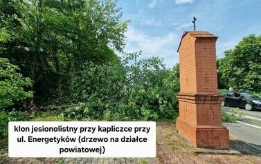 Bez nazwy