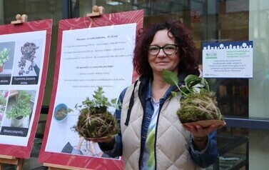 Inauguracja patio-kokedama