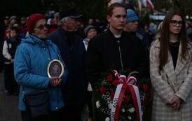 P1528802