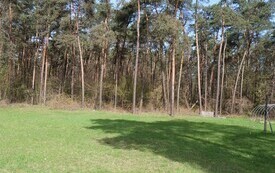 P4700608