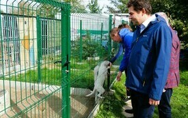 Nowy dom dla bezdomnych zwierząt 2