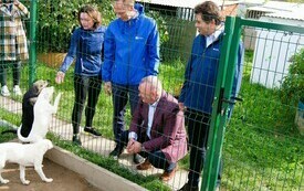 Nowy dom dla bezdomnych zwierząt 3