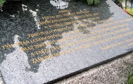 P4955903