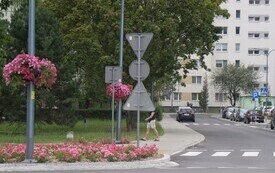 P5033958