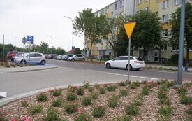 P5033934