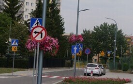 P5033869