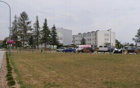 P5033859