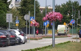 P5033797