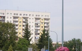 P5033792