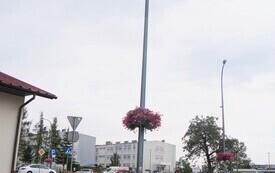 P5033588