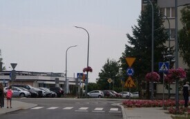 P5033554