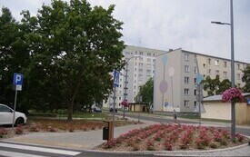 P5033541