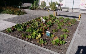P5144410