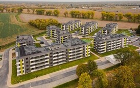 DJI_0919