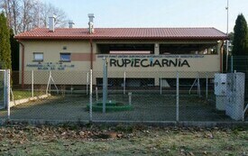 Sukces akcji &bdquo;Cebulki za odpady&rdquo; 18