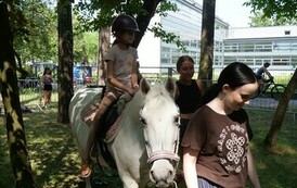 Piknik Rodzinny i otwarcie Wodnego Placu Zabaw (na zdjęciu znajduje się koń i dzieci)