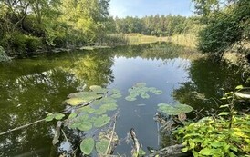 Zbiornik "Kacze Doły" (na zdjęciu znajduje się zbiornik wodny)