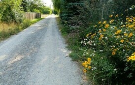 Dalsza rozbudowa ul. Nowowiejskiego (na zdjęciu znajduje się droga)
