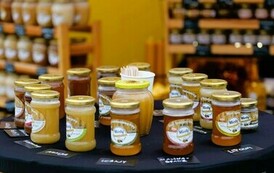 Festiwal Czekolady i słodkości w Stalowej Wol (na zdjęciu znajdują się miody)