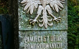 P3766703