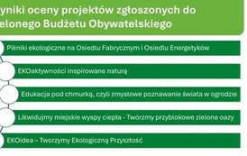 Prezentacja - wyniki1 (1)_page-0011