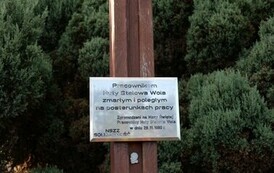 P1221349