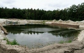 P4200418