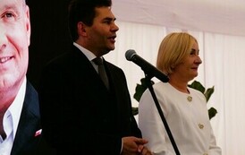 P4333833