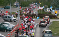 Zdjęcie do XV Rajd Honoru &ndash; pamięć, kt&oacute;ra łączy pokolenia...