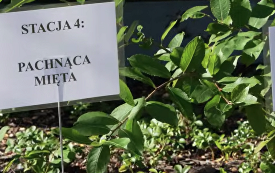 Zdjęcie do VIDEO) Ogr&oacute;dek Społeczny przy PSP nr 1 miejsce spotkań i...