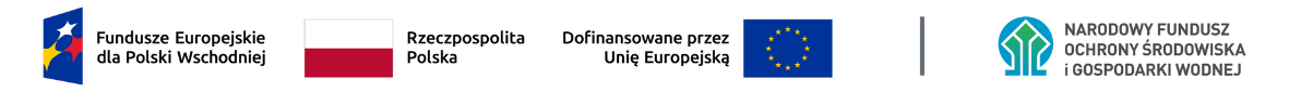 logo_NFOŚiGW_(1)
