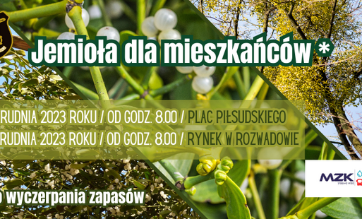 grafika jemioła dla mieszkańców