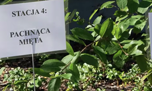Zdjęcie do (VIDEO) Ogr&oacute;dek Społeczny przy PSP nr 1 miejsce spotkań i nauki 