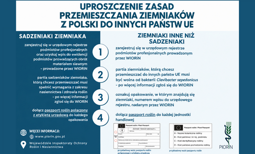Zdjęcie do Uproszczenie zasad przemieszczania ziemniak&oacute;w z Polski do innych państw UE