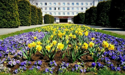 Zdjęcie do Otwarcie ofert na opracowanie dokumentacji Kina Ballada